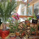 елица 2*