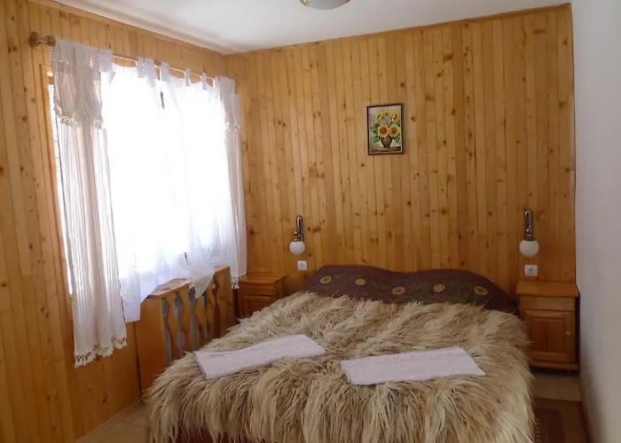 Elitza パンポロボ